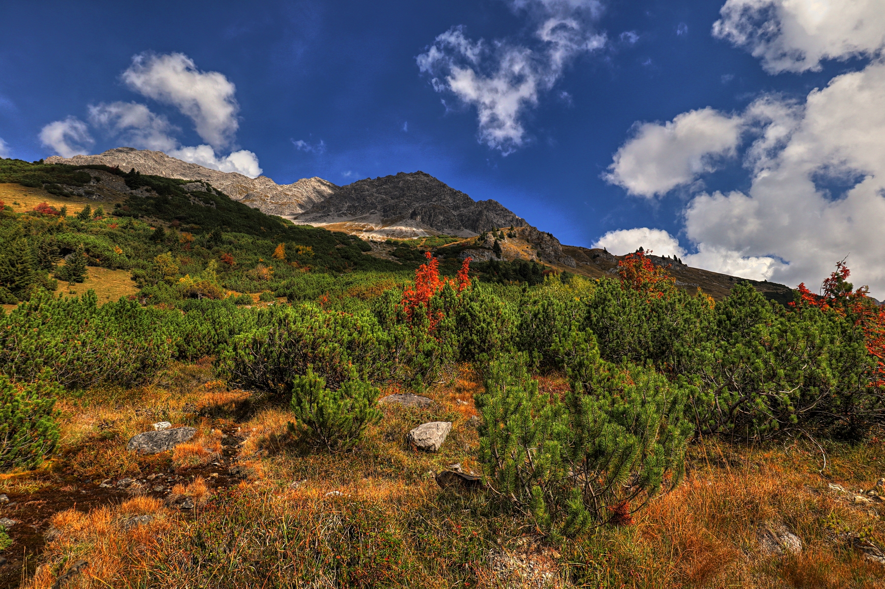 IMG_2631-hdr.jpg
