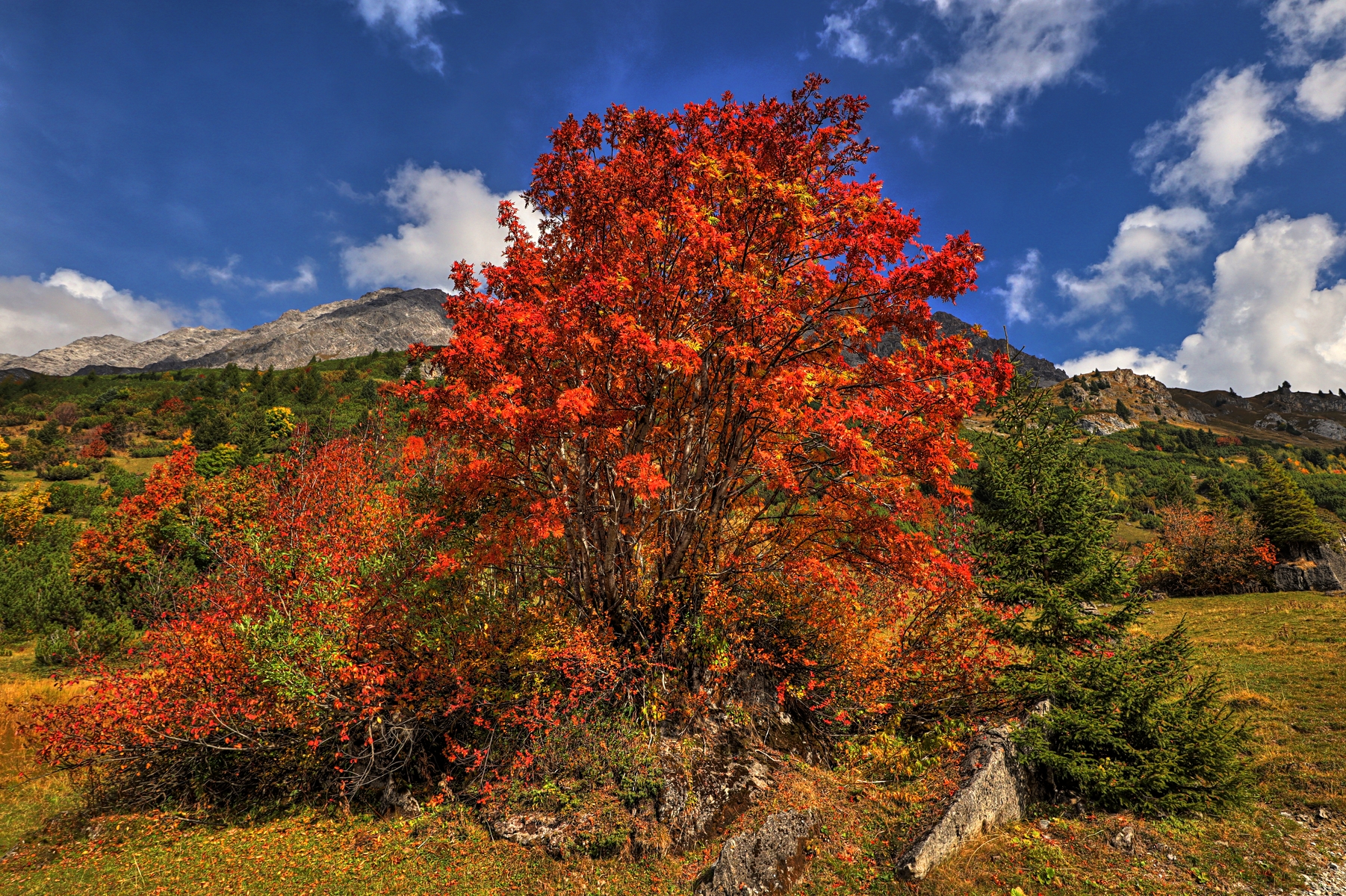 IMG_2637-hdr.jpg