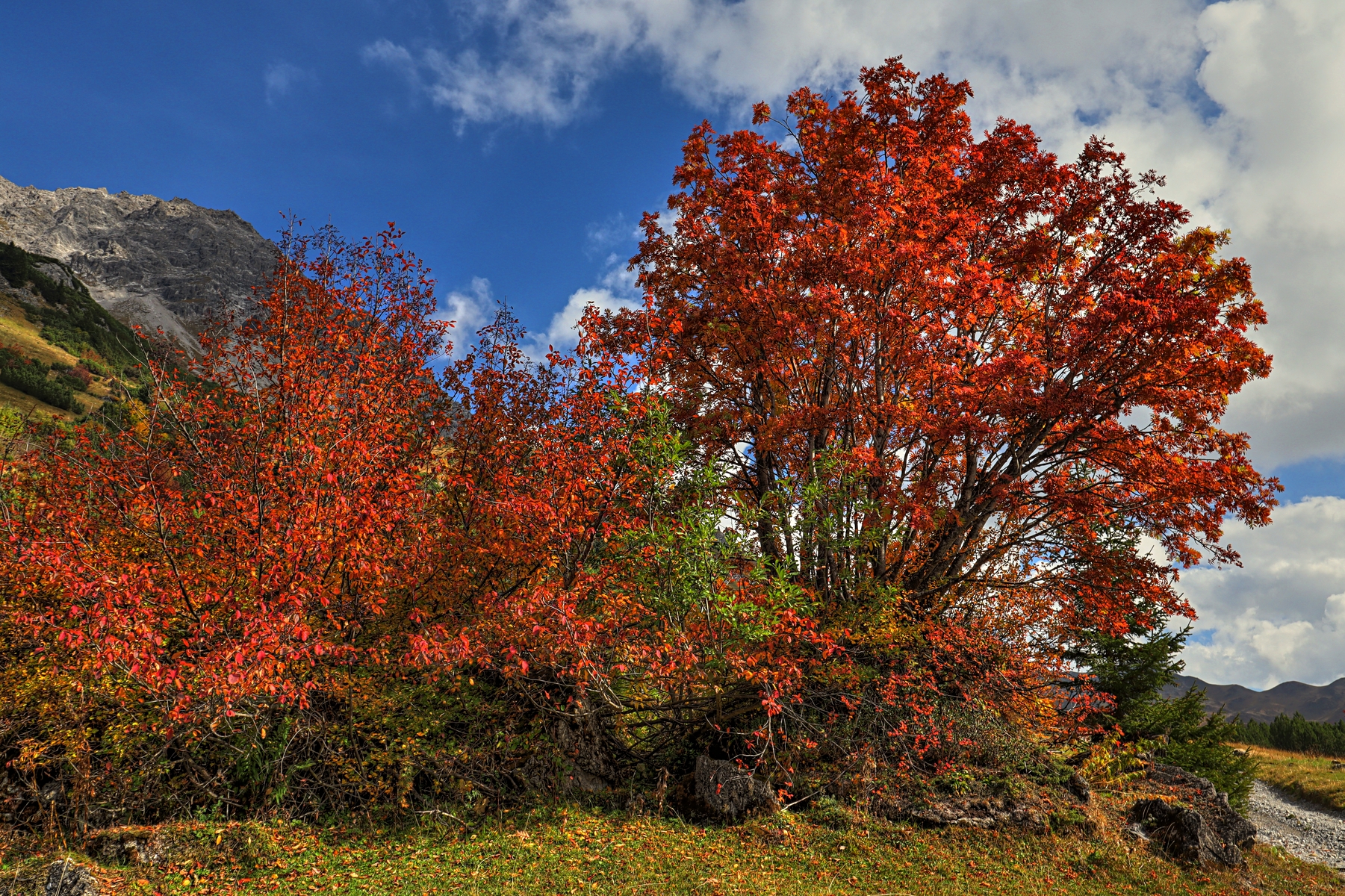 IMG_2640-hdr.jpg