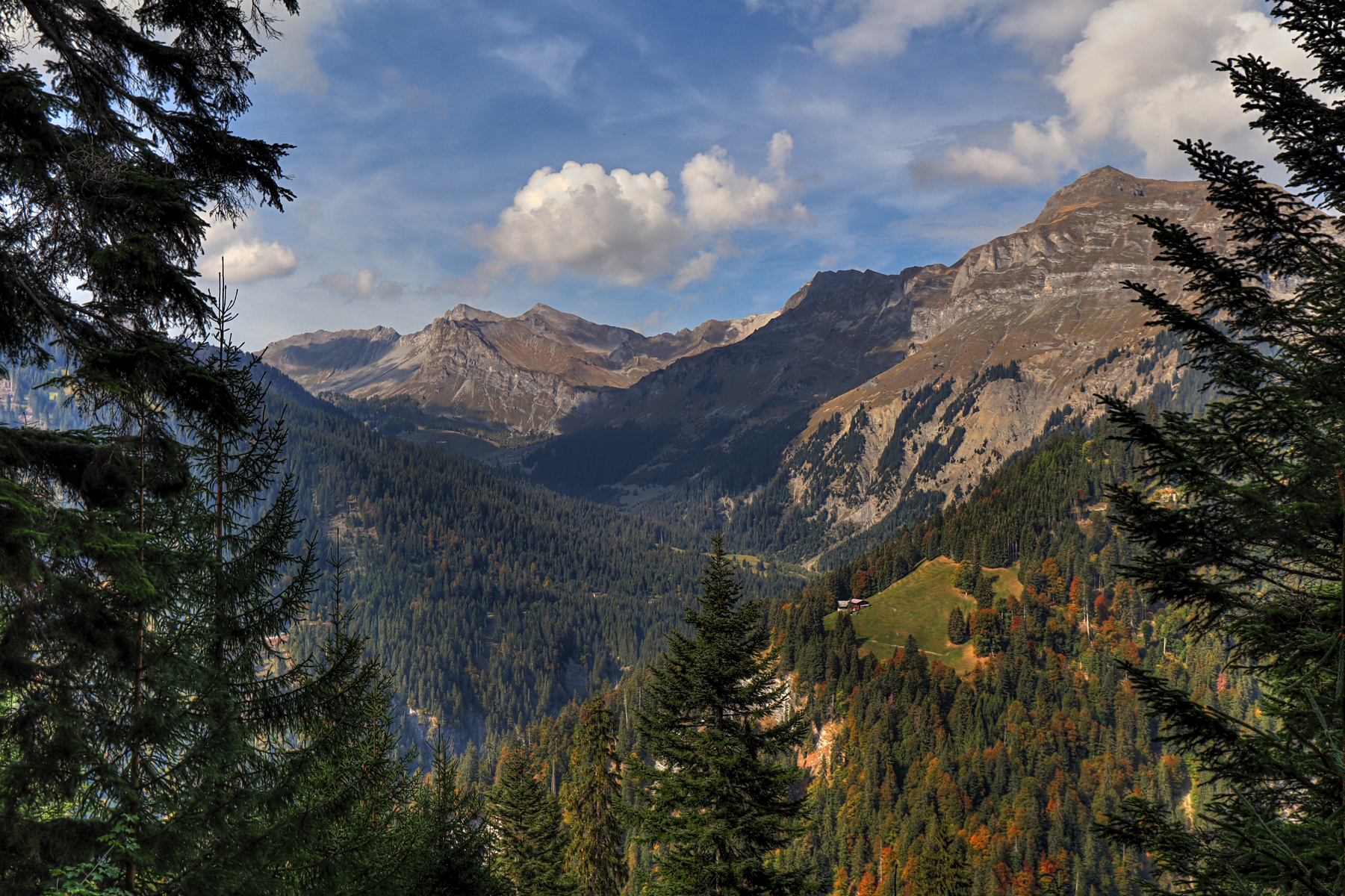 IMG_2658-hdr.jpg