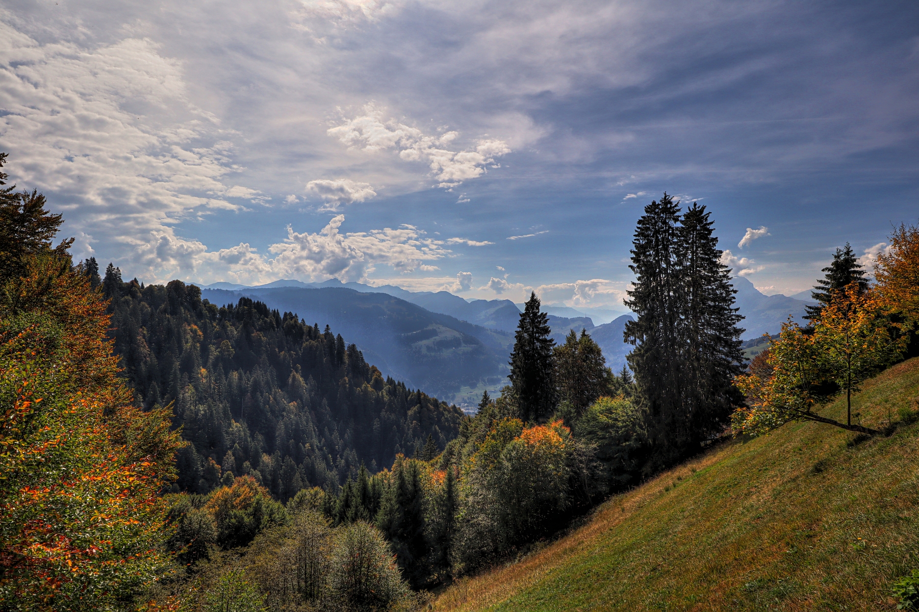 IMG_2664-hdr.jpg