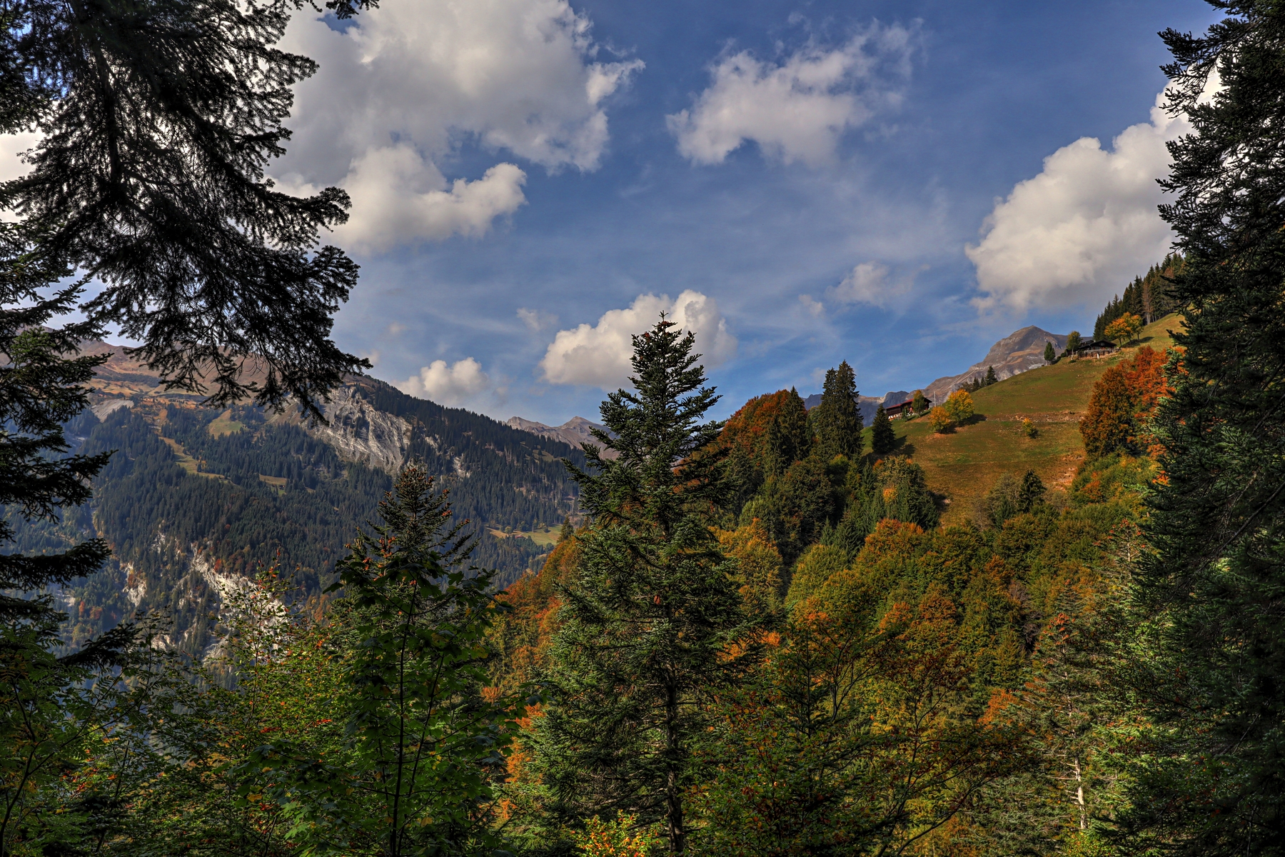 IMG_2667-hdr.jpg