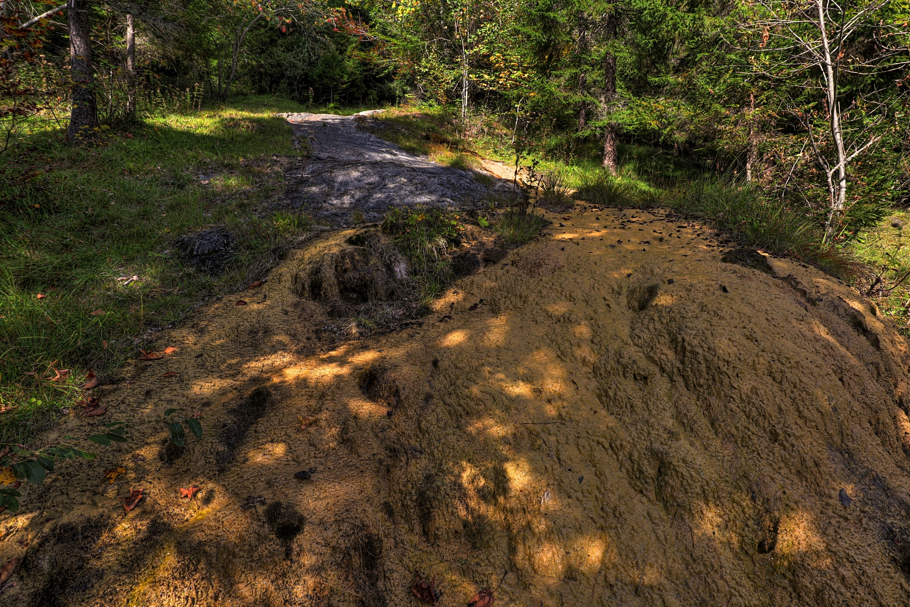 IMG_2682-hdr.jpg