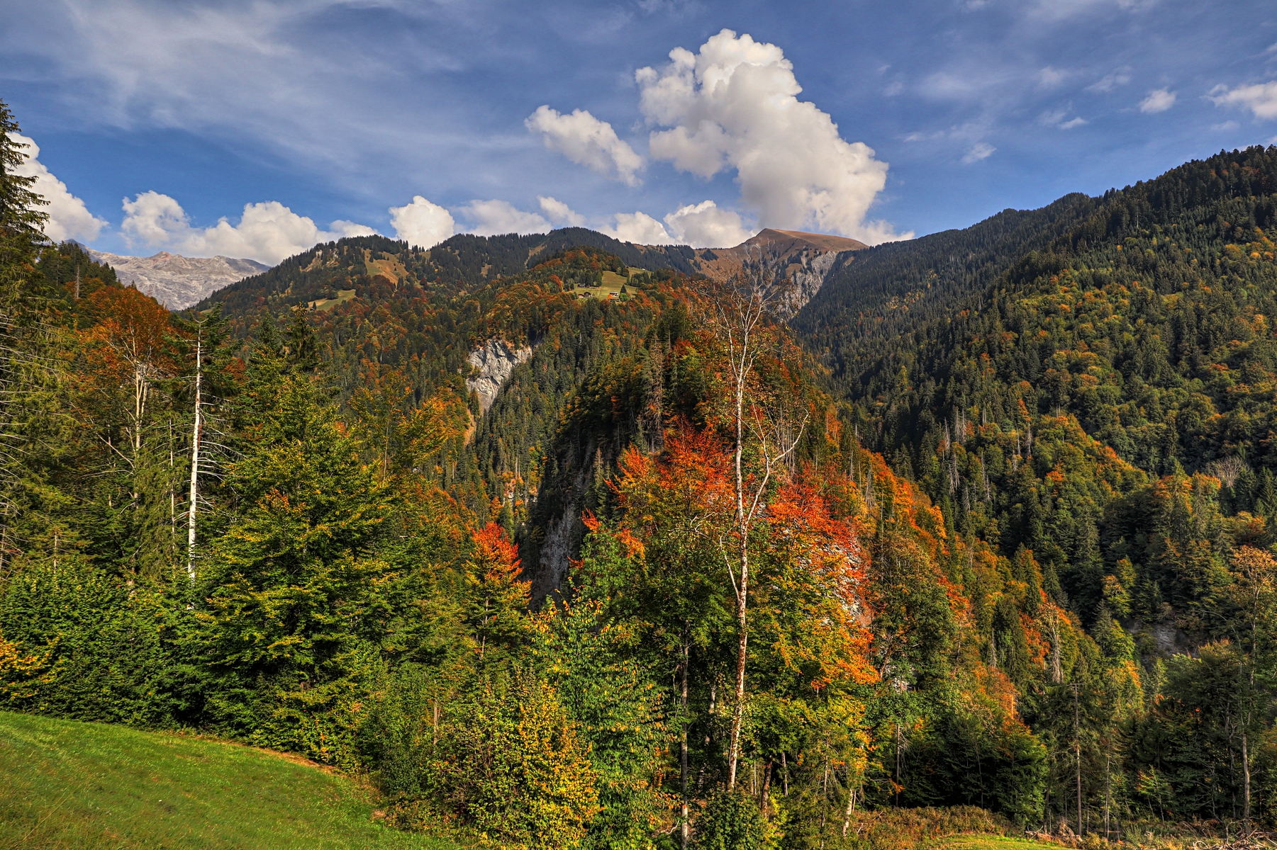IMG_2685-hdr.jpg