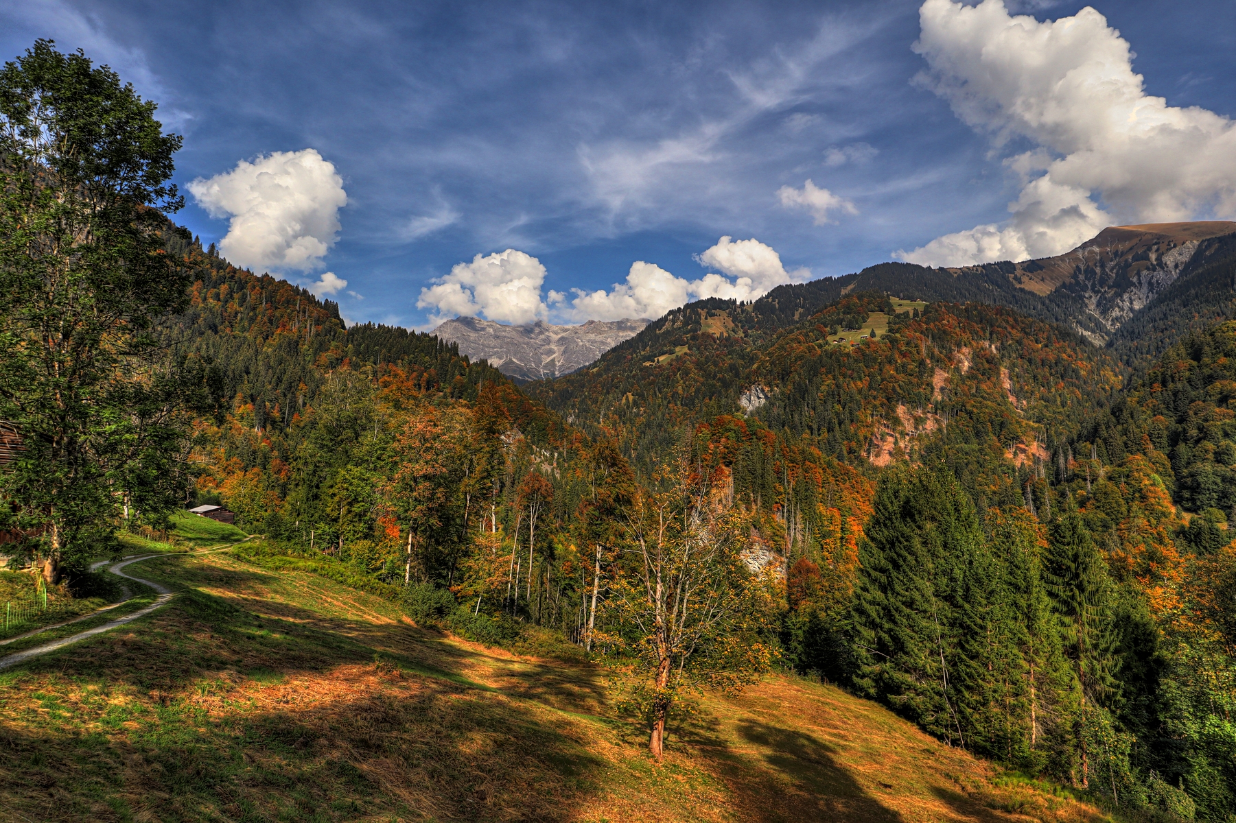IMG_2691-hdr.jpg