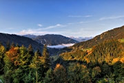 IMG_2442-hdr.jpg
