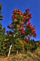 IMG_2457-hdr.jpg