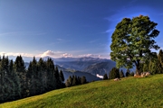 IMG_2493-hdr.jpg