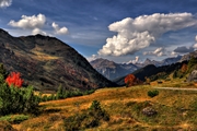 IMG_2634-hdr.jpg