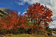 IMG_2640-hdr.jpg