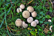 IMG_2649-hdr.jpg