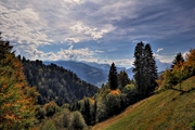 IMG_2664-hdr.jpg