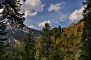 IMG_2667-hdr.jpg