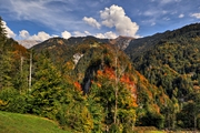 IMG_2685-hdr.jpg