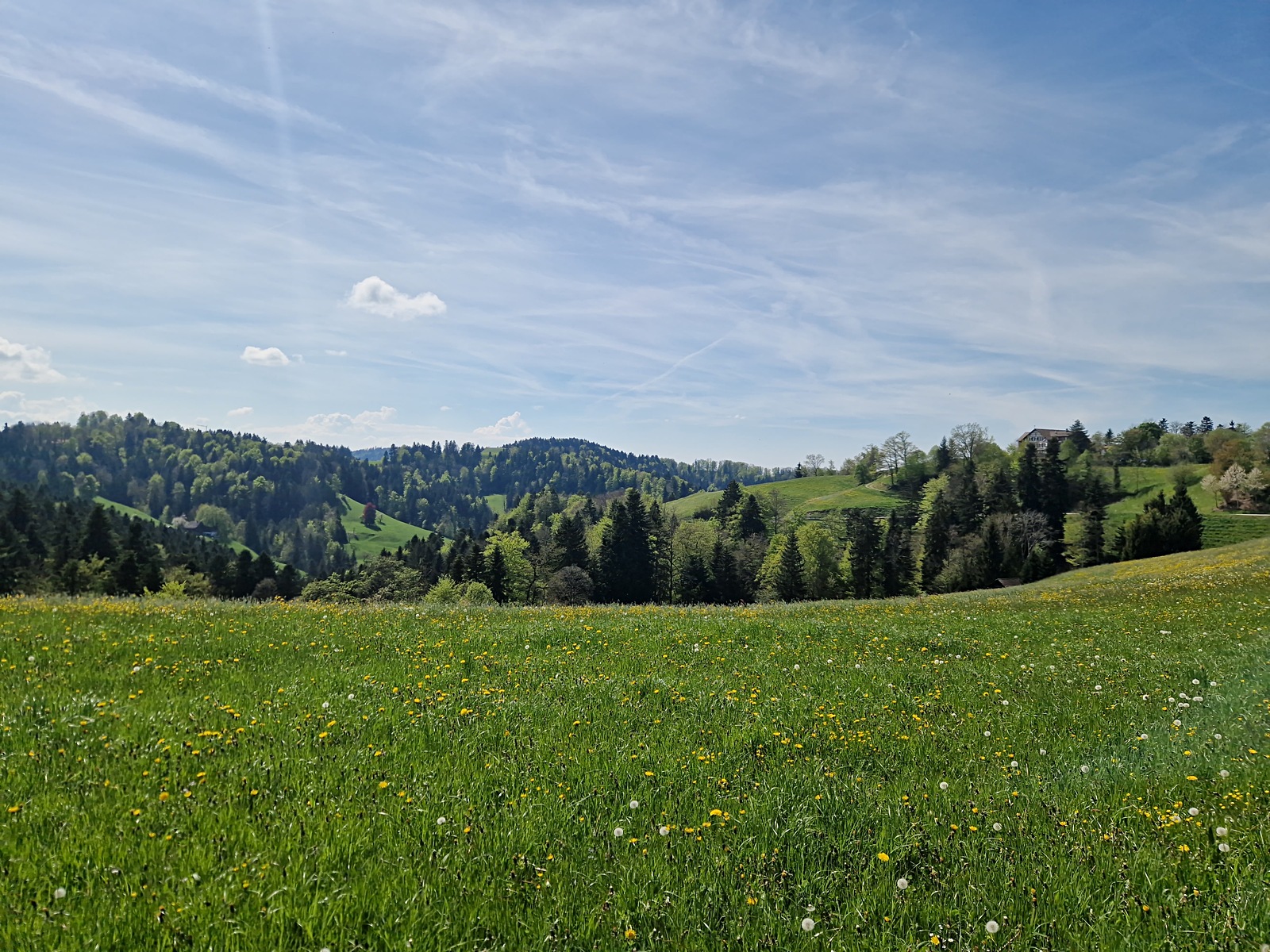 20250428_143058.jpg