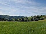 20250428_143058.jpg