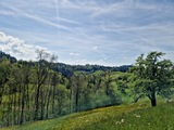 20250428_143330.jpg