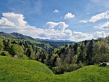 20250428_143708.jpg