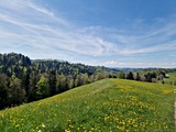 20250428_145030.jpg