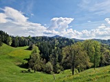 20250428_145541.jpg