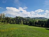 20250428_150710.jpg