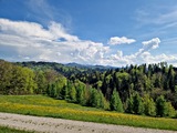 20250428_151148.jpg