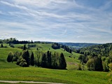 20250428_151310.jpg