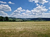 20250518_125241.jpg