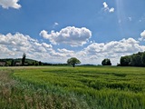 20250518_130516.jpg