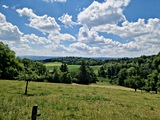 20250518_131510.jpg