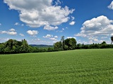 20250518_141300.jpg