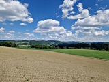 20250518_141546.jpg