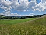 20250518_142103.jpg