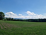 20250518_144352.jpg