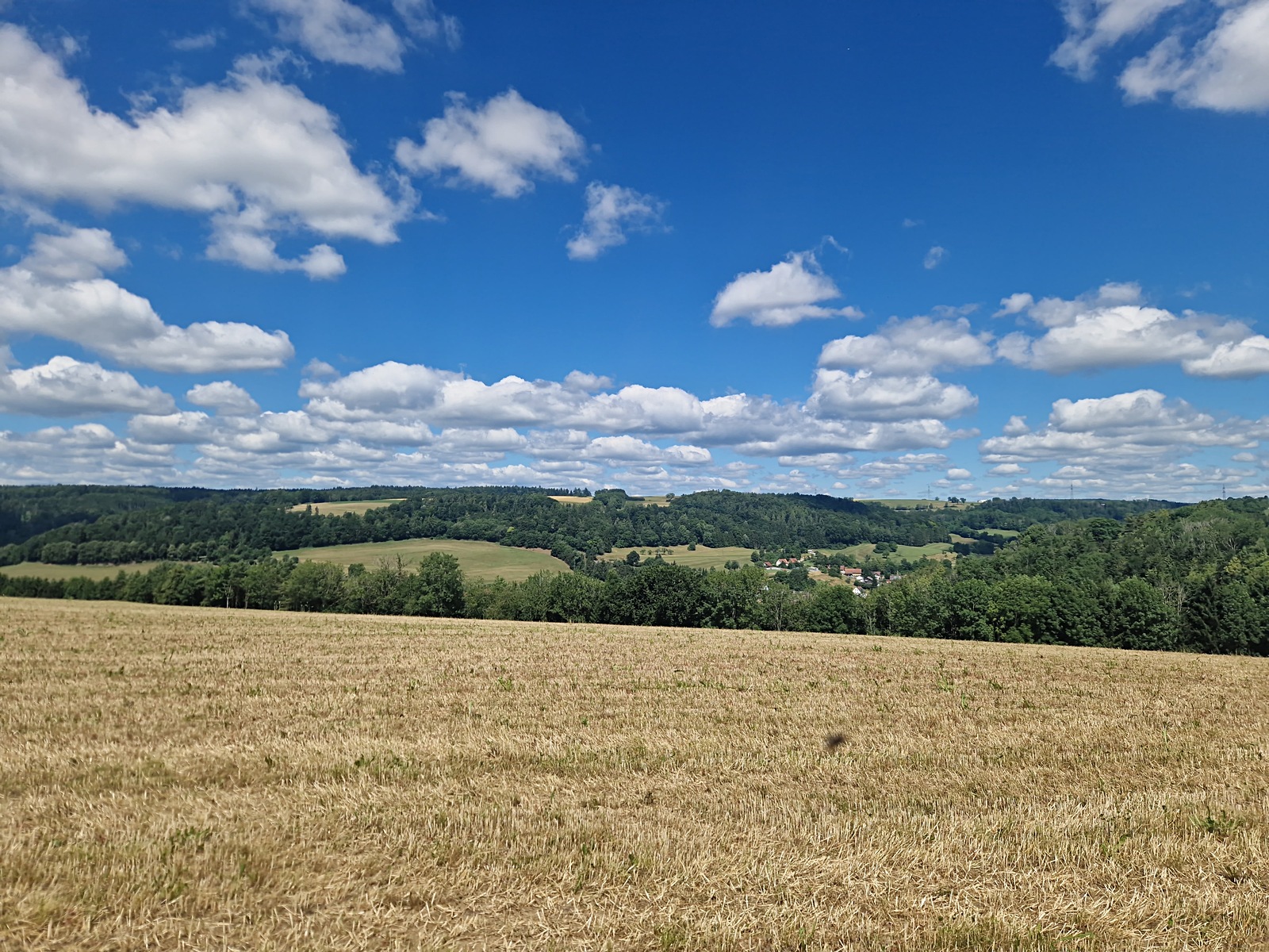 20250628_113239.jpg