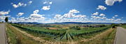 20250628_110127pan.jpg