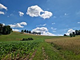 20250628_110616.jpg