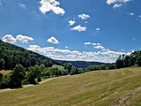 20250628_111724.jpg
