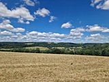 20250628_113239.jpg