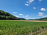 20250628_114958.jpg