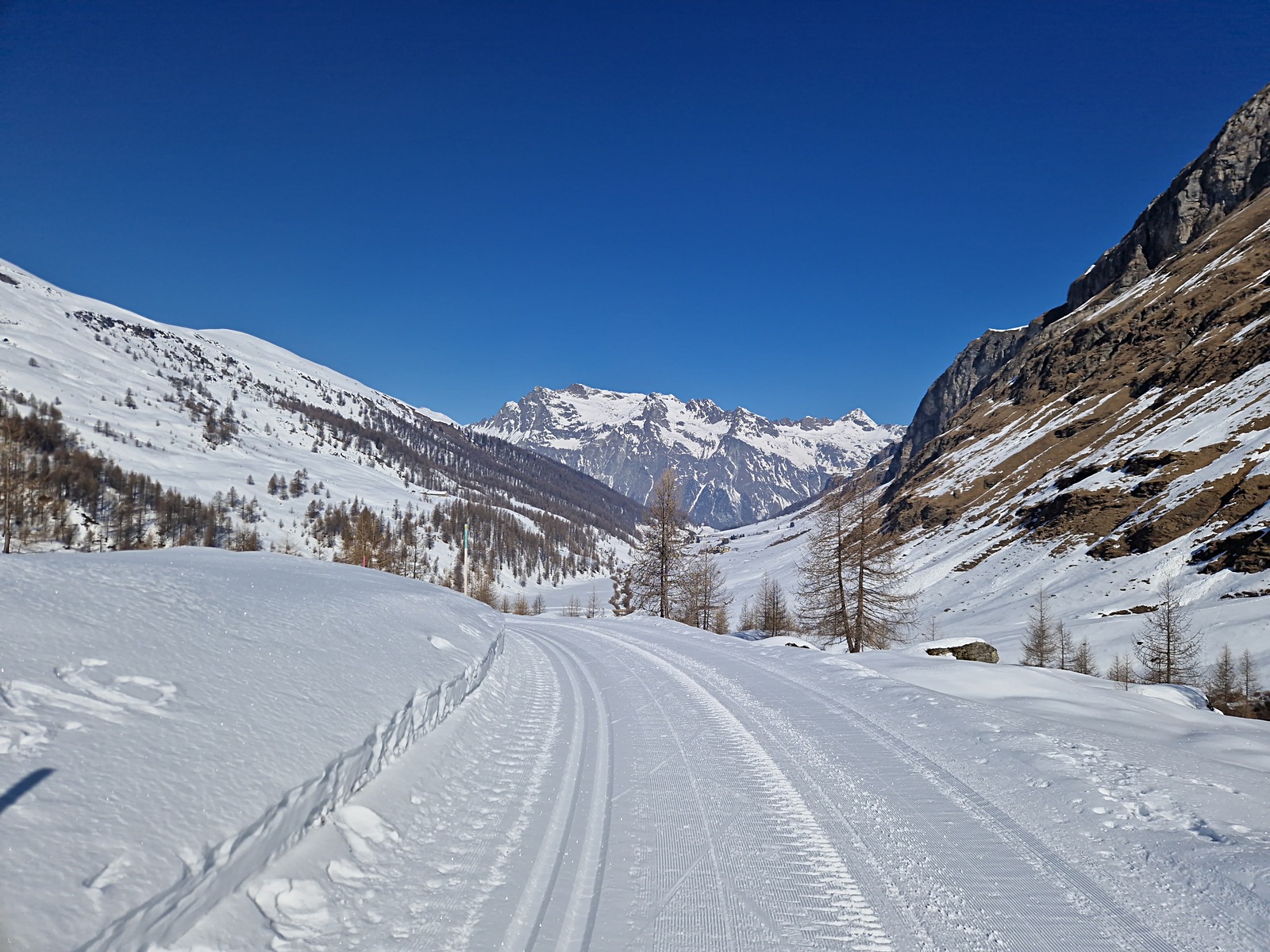 20250306_100737.jpg