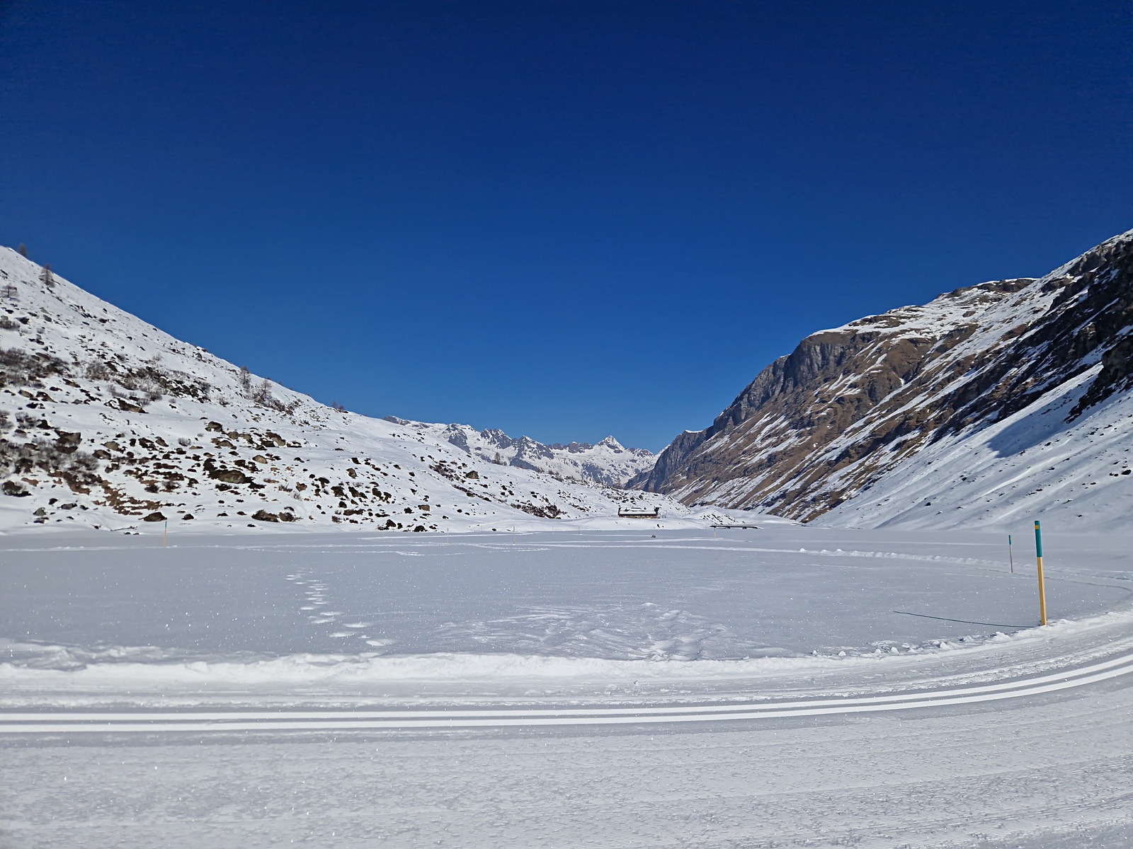 20250306_101729.jpg