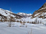 20250303_105710.jpg