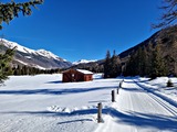 20250304_102356.jpg