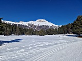 20250305_101835.jpg