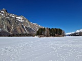 20250305_142003.jpg