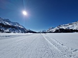 20250305_142633.jpg