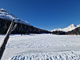20250308_094741.jpg