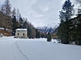 20250311_090208.jpg