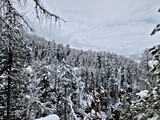 20250314_111832.jpg